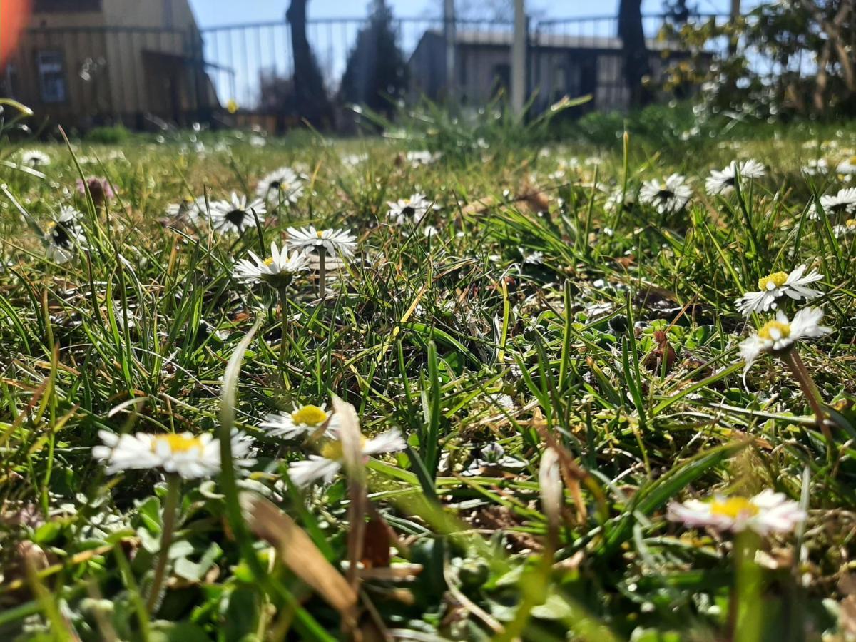 Gartenblick トレッビン エクステリア 写真