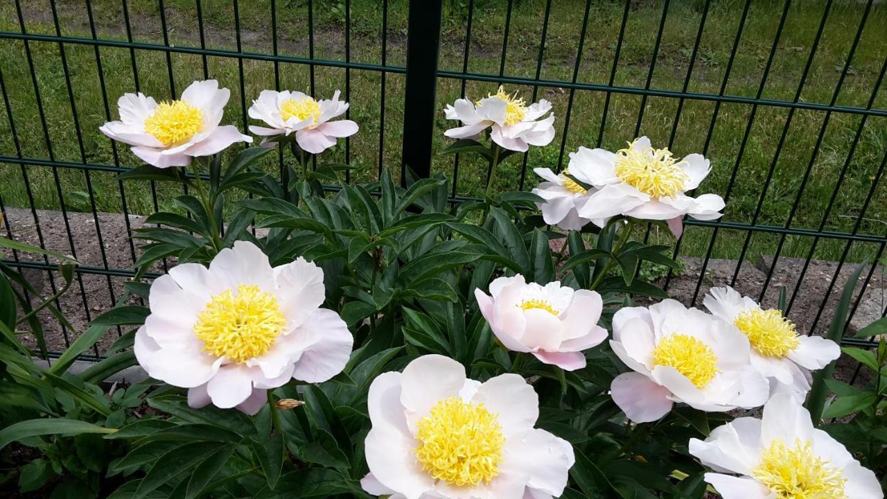 Gartenblick トレッビン エクステリア 写真
