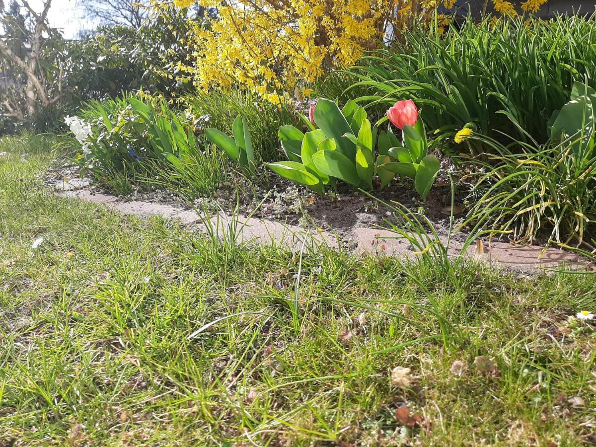 Gartenblick トレッビン エクステリア 写真