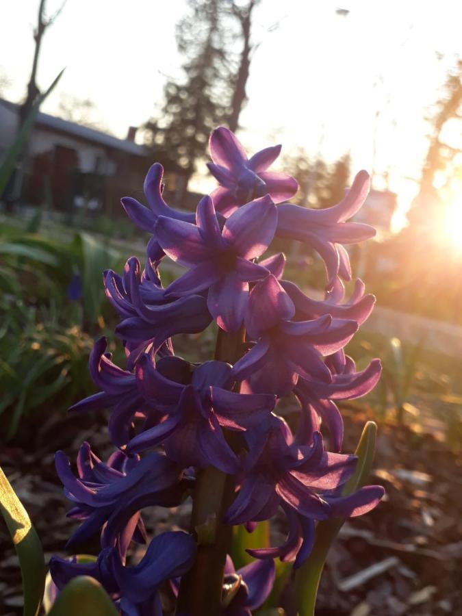 Gartenblick トレッビン エクステリア 写真